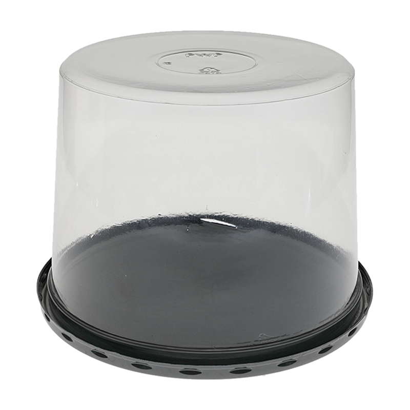 5 Tall Smooth Dome Black Flat Base 5 Cake Clear Dome 200 Ct 5-tall-smooth-dome-black-flat-base-5-cake-clear-dome-200-ct