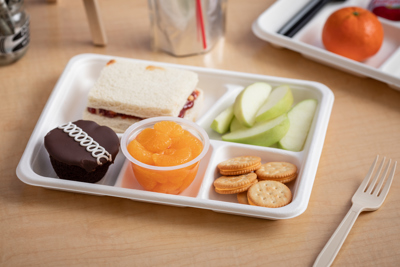 Basics 5 Compartment School Lunch Food Tray Eco-Friendly, Pack of  500 850766007917