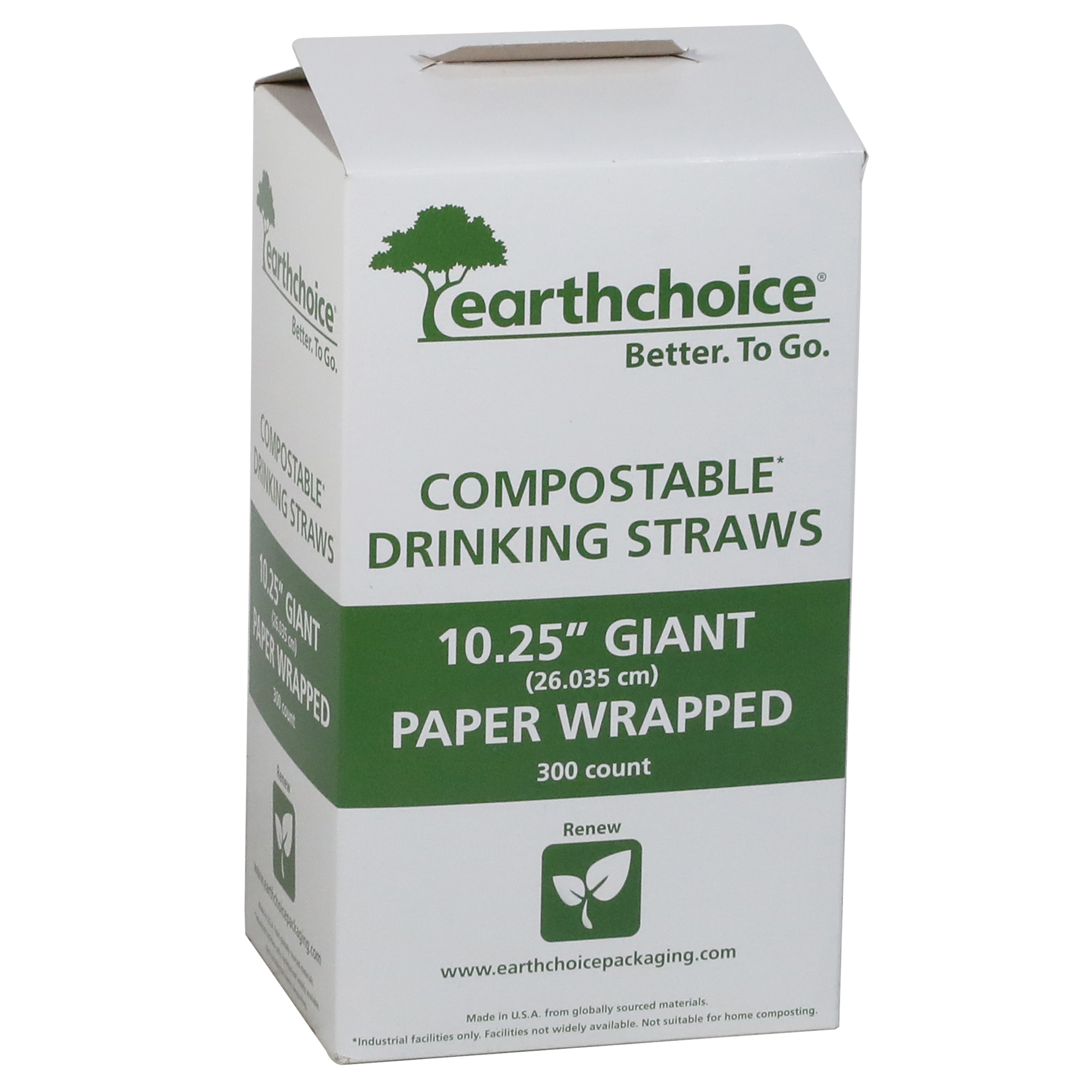 WBD-Reusable Straw Case- Green Tortoise