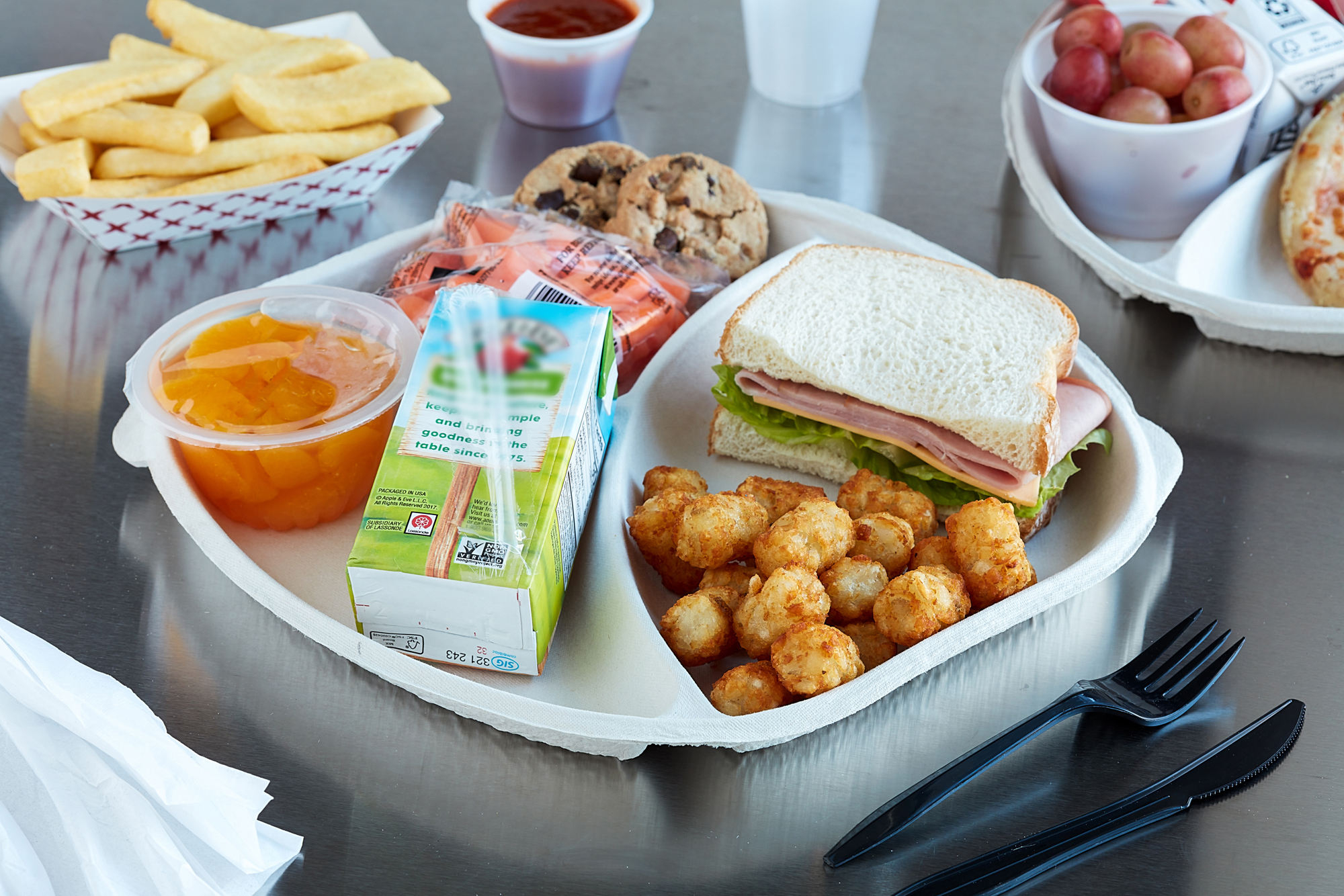 Fiber Compostable School Lunch Trays